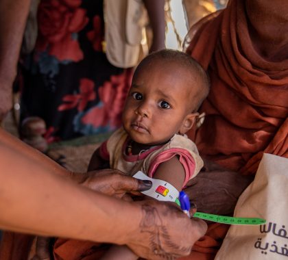 Global hunger statistics