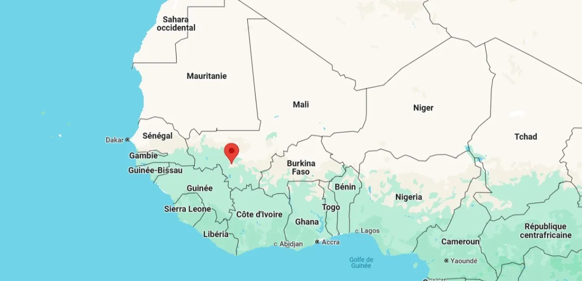 Protesters in Bamako demand protection of political freedoms