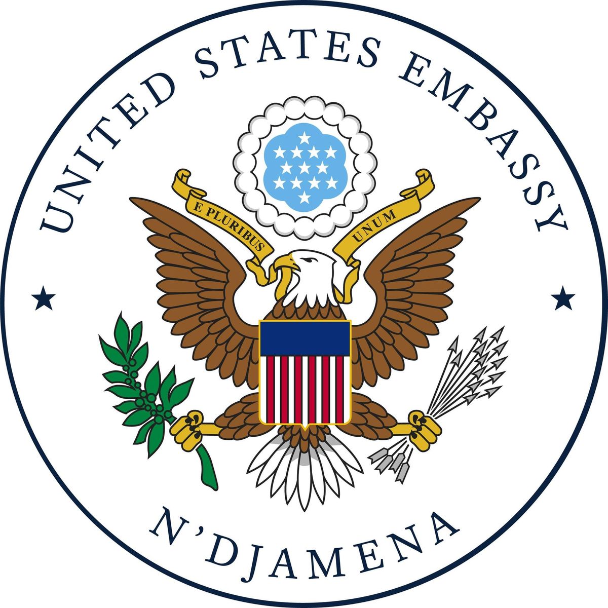 Virtual meeting for US citizens in Chad: what to expect