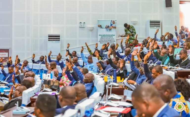 Togo's National Assembly in session