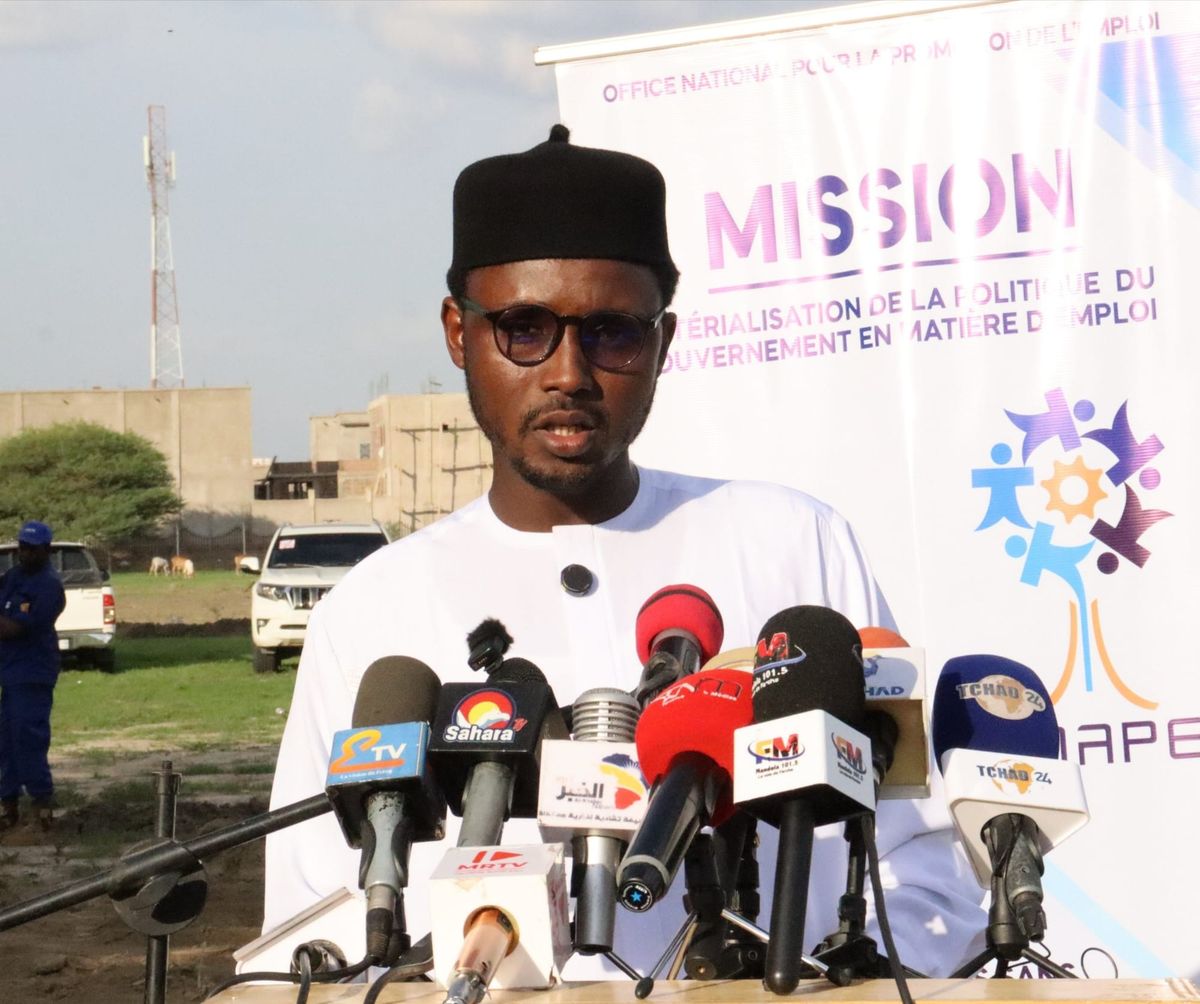Chad green jobs initiative for youth in N'Djamena