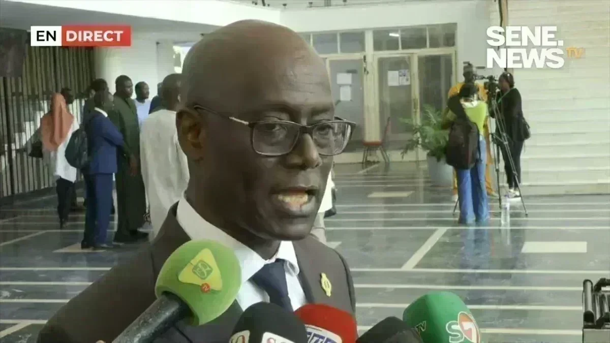 Thierno Alassane Sall fait des révélations sur Ousmane Sonko en session extraordinaire 4 Thierno Alassane Sall fait des révélations sur Ousmane Sonko en session extraordinaire